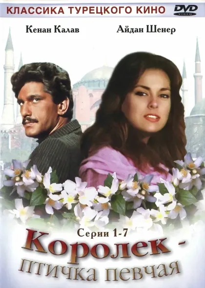 Айдан Шенер